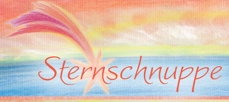 logo_sternschnuppe